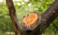 开云体育中国-冰川与枫叶的终局，2026世界杯生死战，瑞士完胜加拿大，姆巴佩致命一击定格永恒