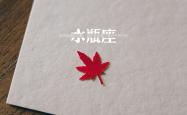 开云体育APP下载-绿茵核爆，当哈兰德遇见桑巴悲歌，美国用一场完胜改写了2026世界杯的秩序册