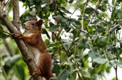 开云体育官网-不被传颂的完胜，当格列兹曼的精神成为中国逆袭的密钥