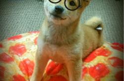 开云体育-钢铁洪流，孤星狂飙！深圳碾压四川，莫兰特用59分点燃五棵松