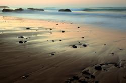 开云体育app-救赎之路与王朝更迭，福克斯的觉醒与雄鹿的坚实步伐