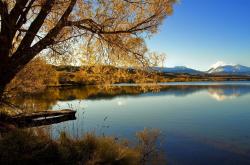 开云体育登录-双城记，当药厂迎战大黄蜂，东方正上演京沪血战