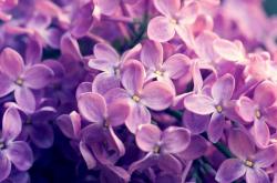 开云体育-铁幕降临，蒂亚戈第78分钟让比赛提前失去悬念，新西兰终结乌拉圭奇迹之路