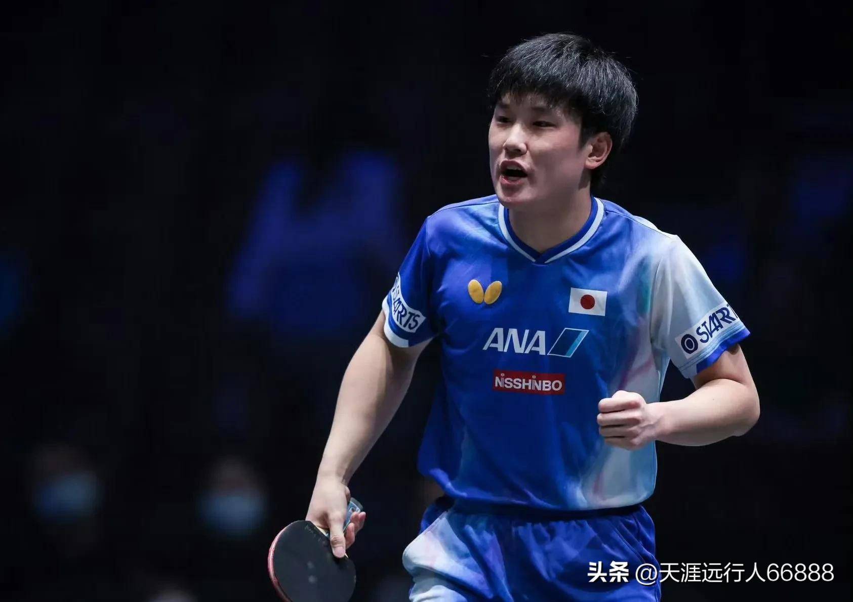 中国乒乓球队强势瑞典乒乓球队,张本智和制霸全场 中国乒乓球队强势瑞典乒乓球队,张本智和制霸全场