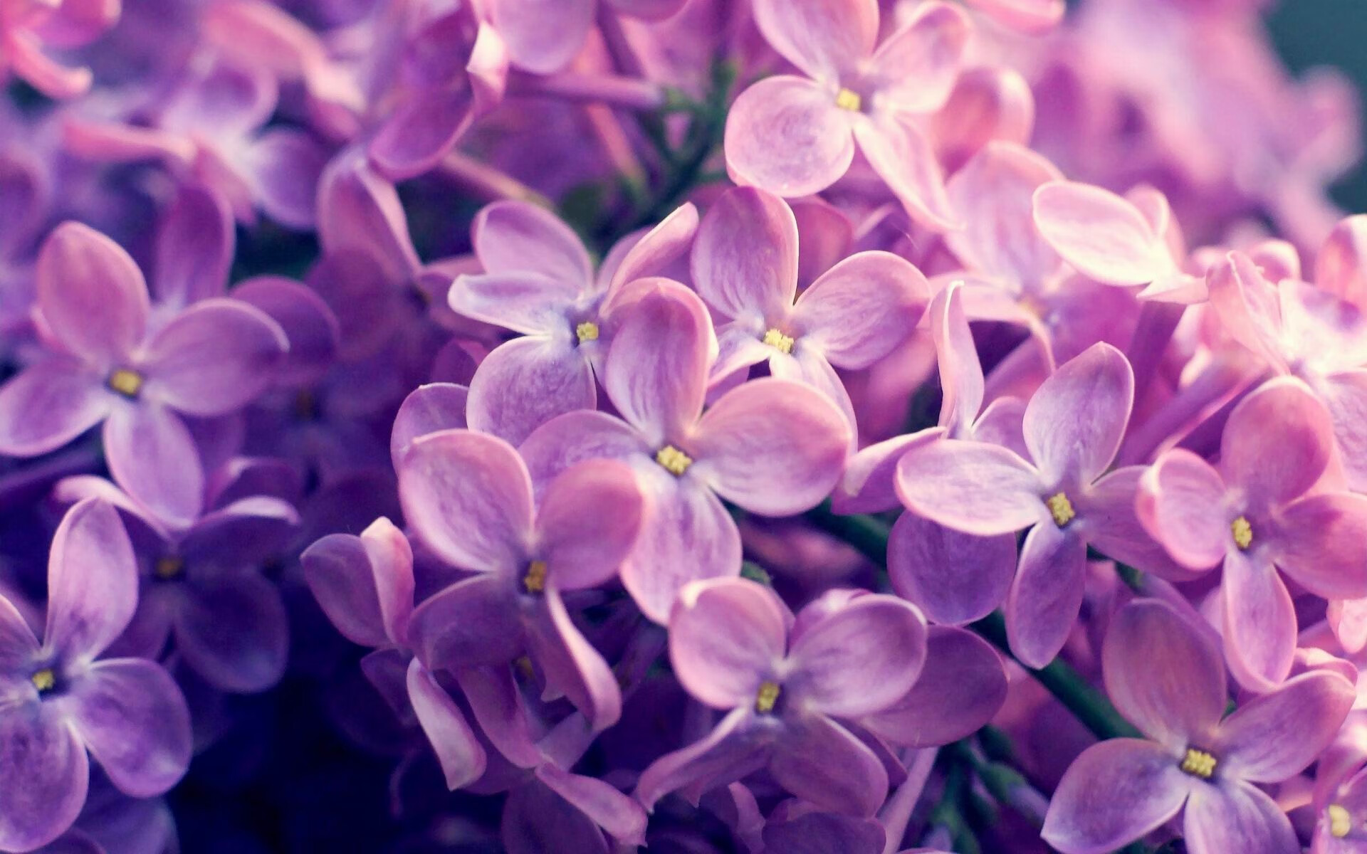 挪威奇迹，梅西率队客场轻取利物浦