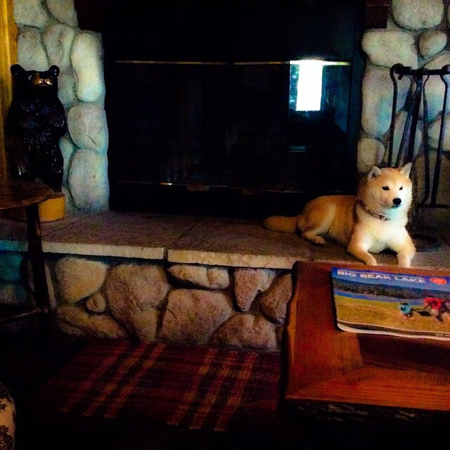 冰与火之歌，易建联率紫金军团跨地域征服战