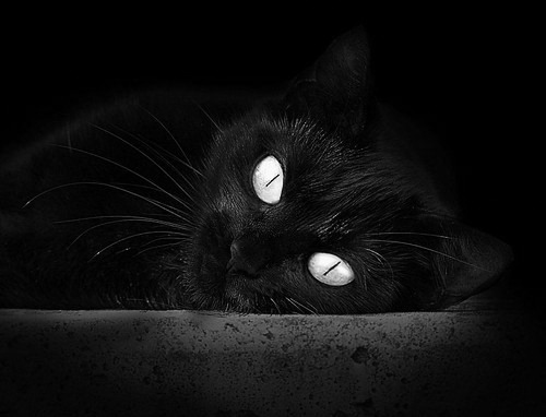 足球场上的惊叹号，霍勒迪如何在三国之地写下属于夜晚的永恒