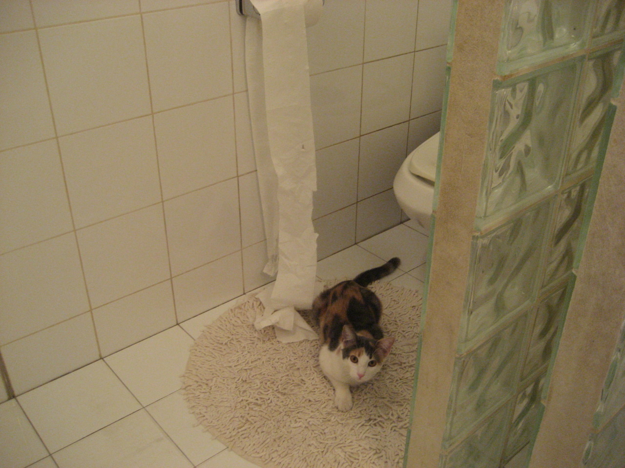 逆转宿命，独行侠破火箭魔咒，小贾伦·杰克逊的封神一夜