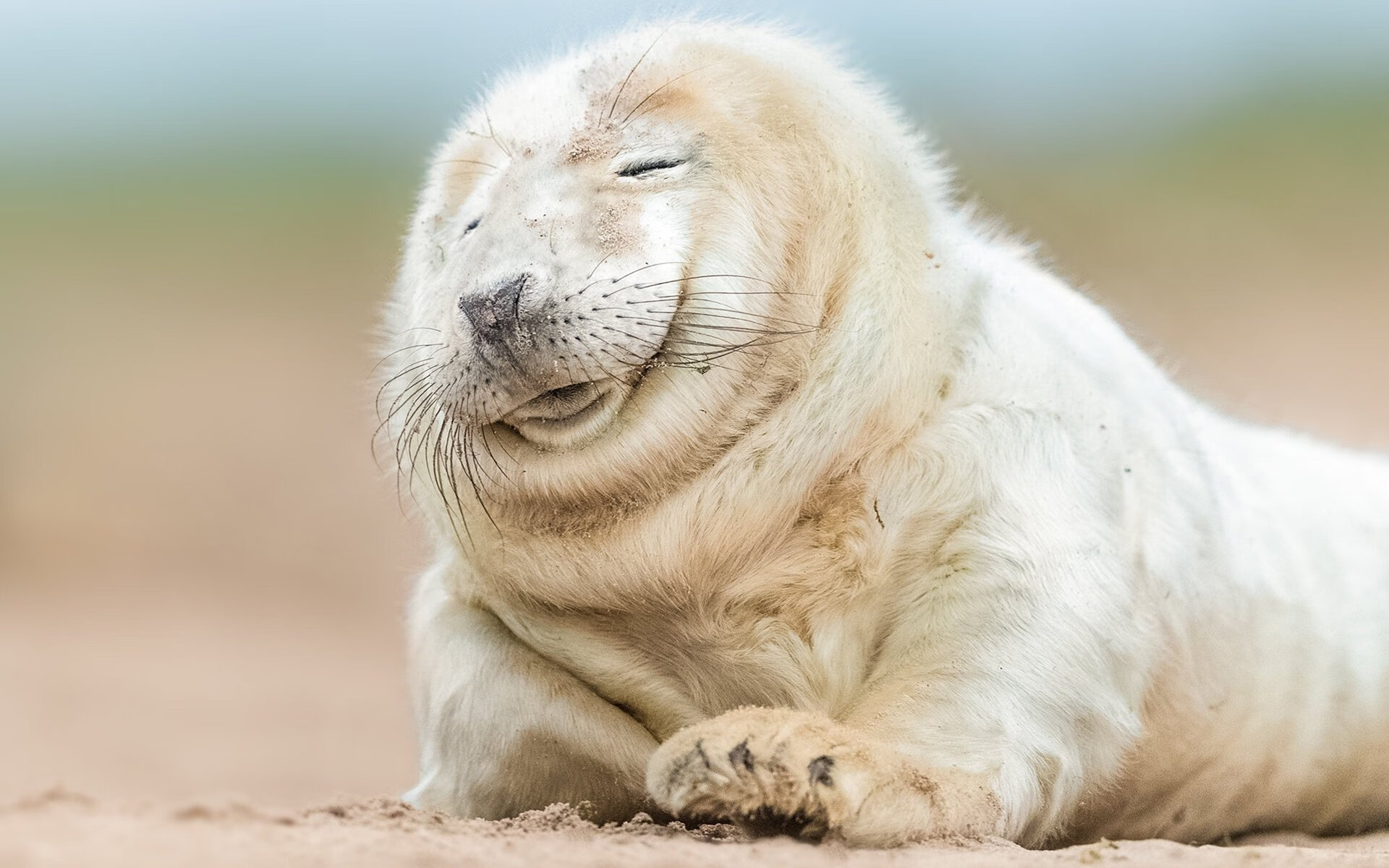 友谊赛现诡异一幕，哈兰德附体曼联小将，红魔轻取墨西哥豪门