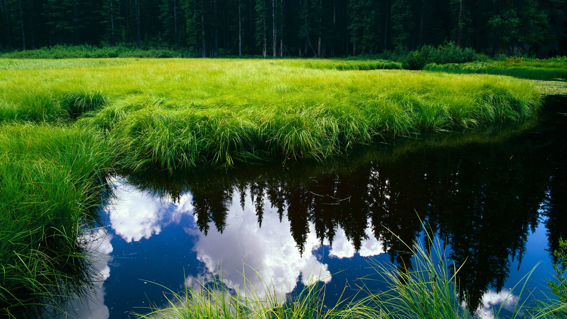 哈利伯顿狂飙30+力挽狂澜，广东队多点开花连续得分高潮逆袭广厦