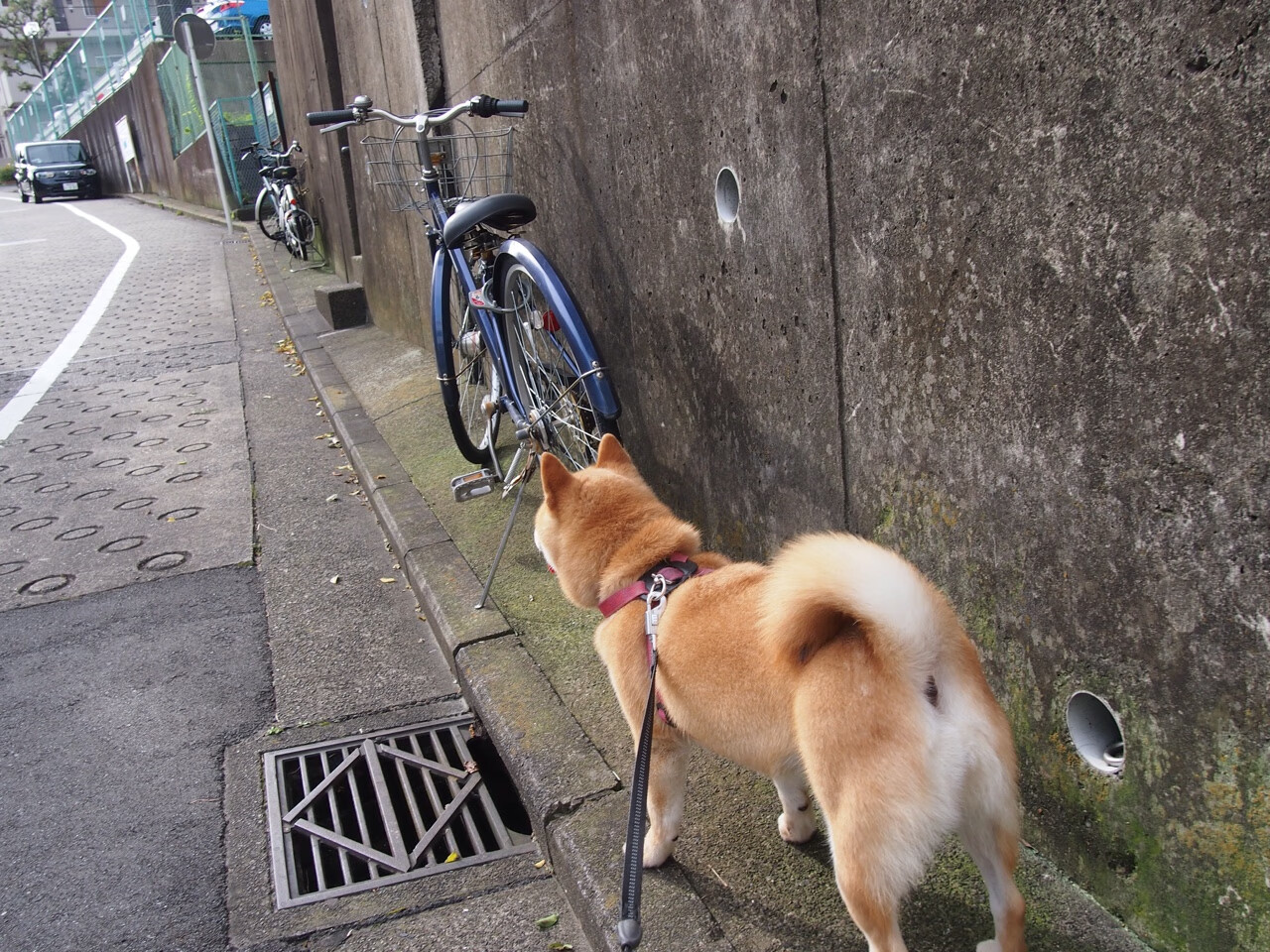 全能中场颠覆意甲秩序!拉梅洛数据爆炸夜改写争冠格局