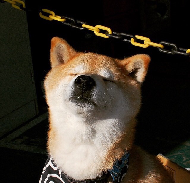 39岁之夜，数据史诗！詹姆斯轰40+三双，国王之战擒开拓者证王权