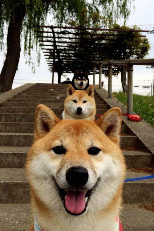 玻利维亚高原的足球魔法，马黛茶与采石场的胜利