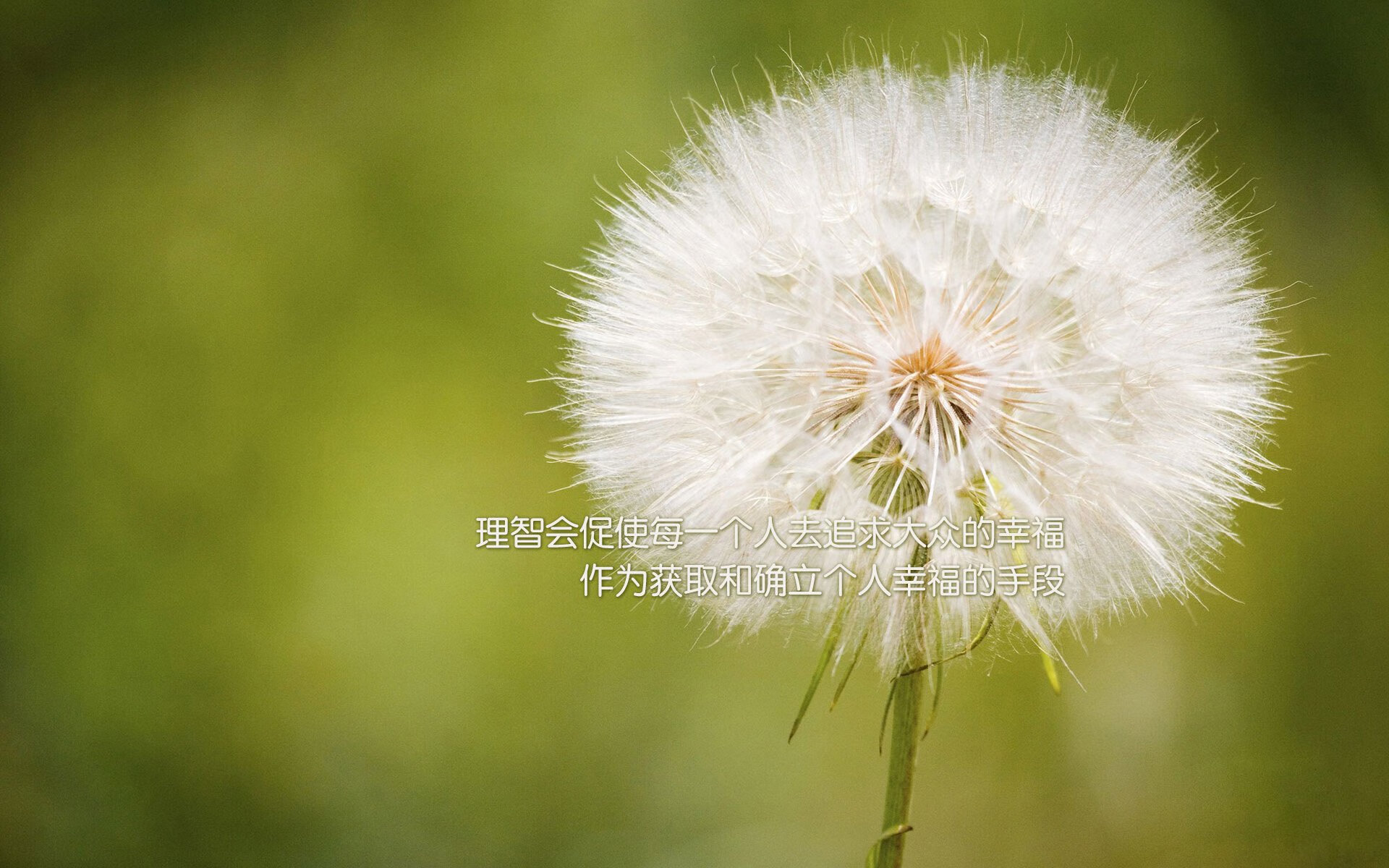 压倒性的团队,决定性的个人,牙买加用连续冲击波击垮韩国,富安健洋的闪光难挽败局