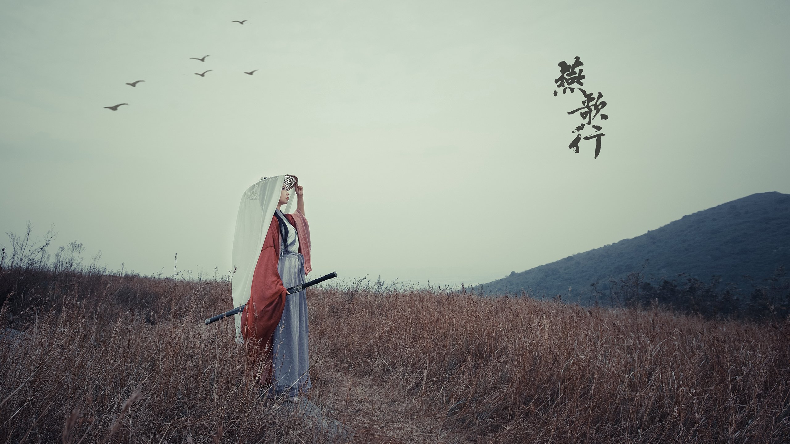 月下鹈鹕，蓝金行者，莫兰特时间