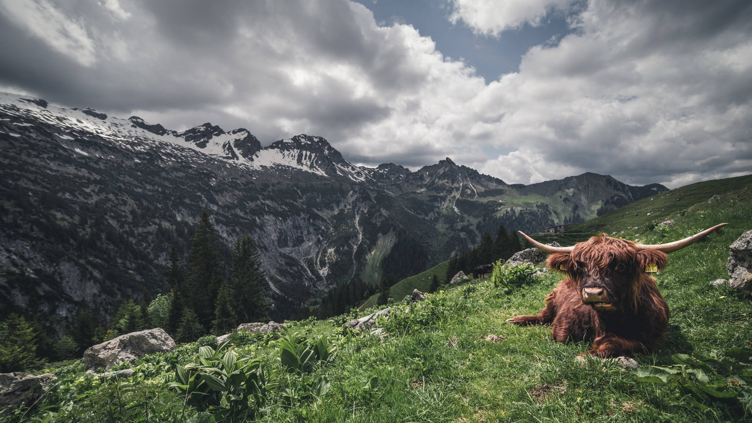 圣库尔图瓦的黄昏，当钢铁之躯托起罗马坠落的天空