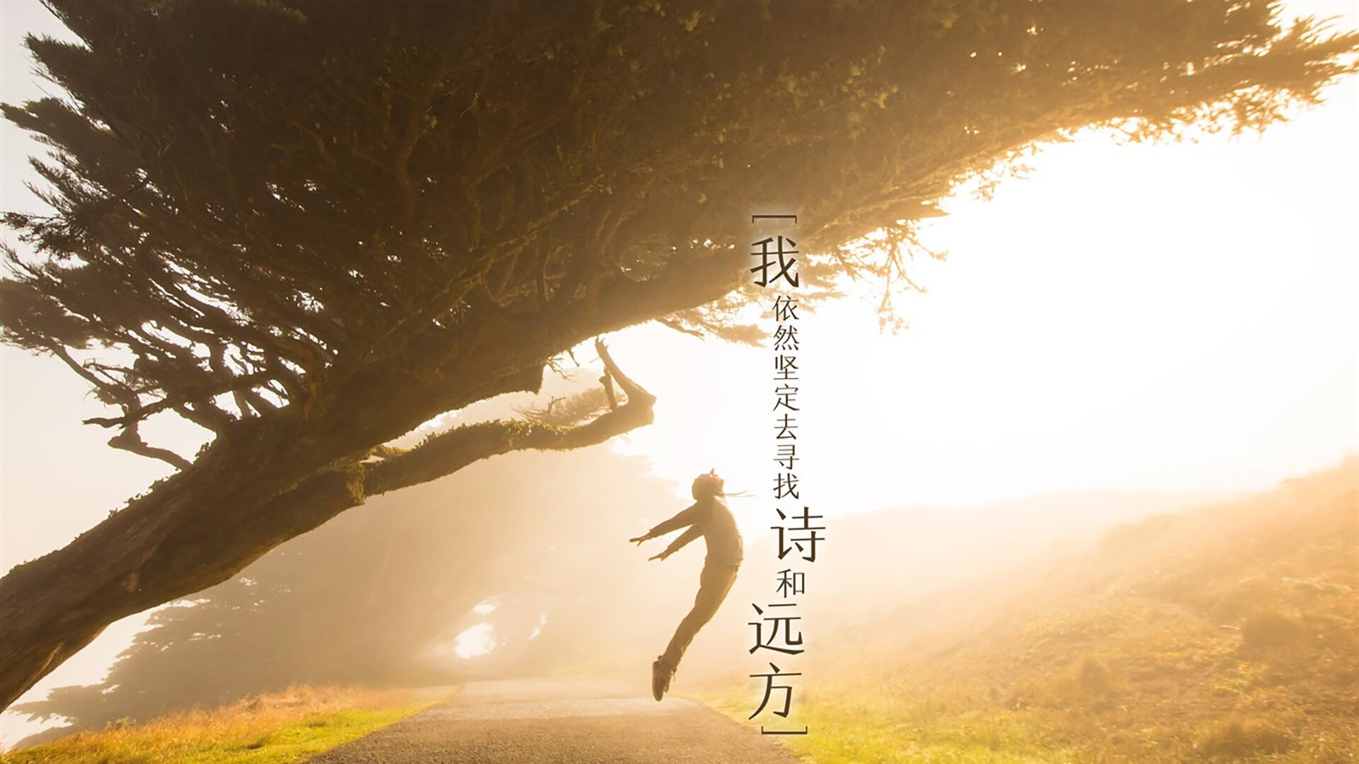 篮球与轰鸣,当制胜一球遇见方格旗挥舞