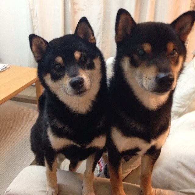 当24秒进攻时限归零前，他像导演电影般完成了绝杀，莫兰特如何成为开拓者逆转快船的关键先生