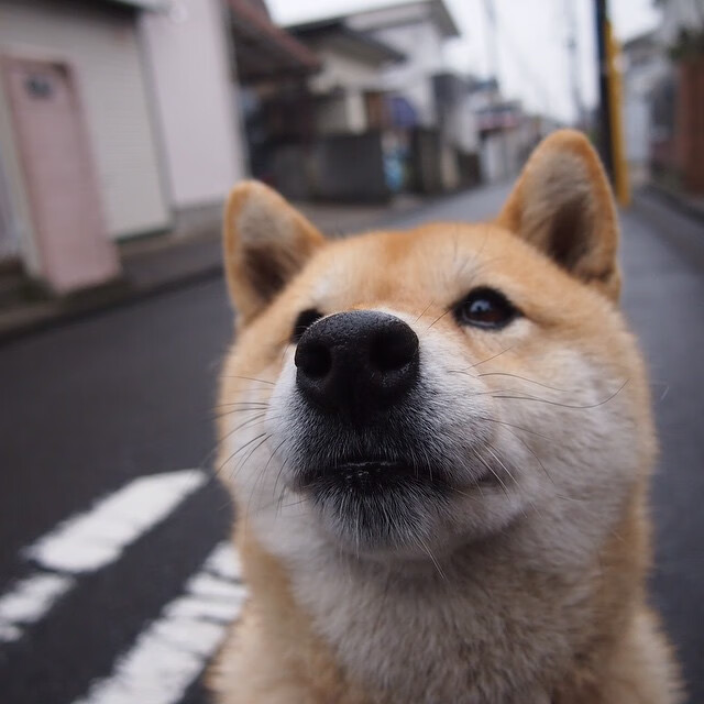 (三选一,体现唯一性视角)